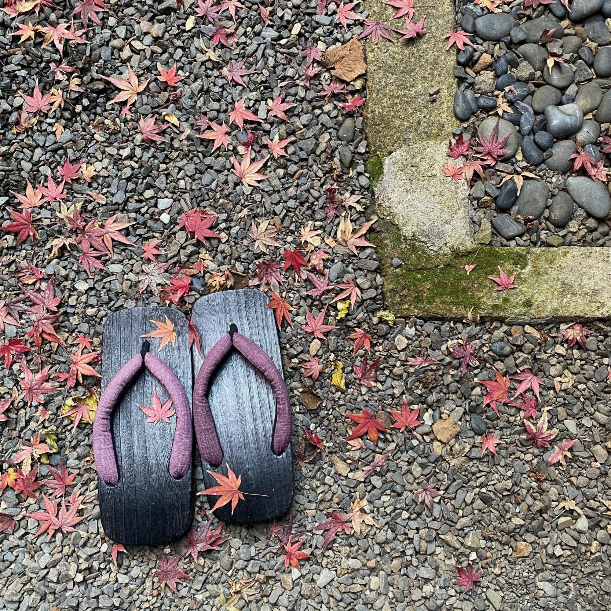 京都宾馆 外观 照片